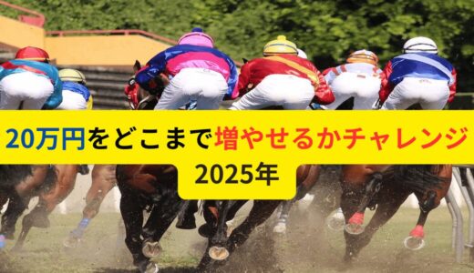 20万円をどこまで増やせるかチャレンジ 2025年